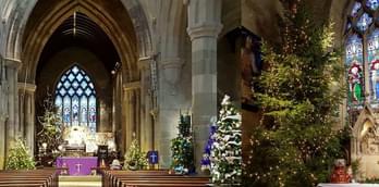 Favourite Christmas Tree Festival Returns