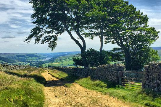 10 path Nidderdale Way Mell Riley