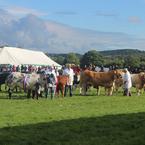 Nidderdale Agricultural Show