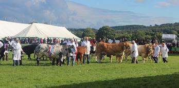 Nidderdale Agricultural Show