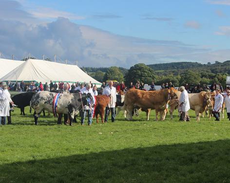 Nidderdale Agricultural Show