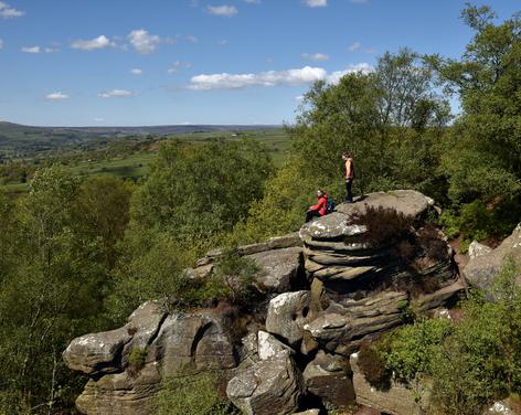 Brimham Rocks