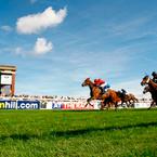 Ripon Racecourse