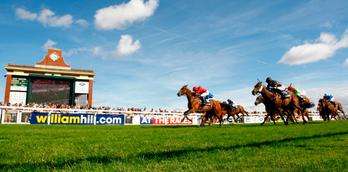 Ripon Racecourse