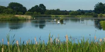 Staveley Nature Reserve