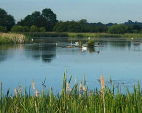 Staveley Nature Reserve