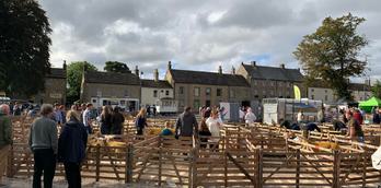 Masham Sheep Fair