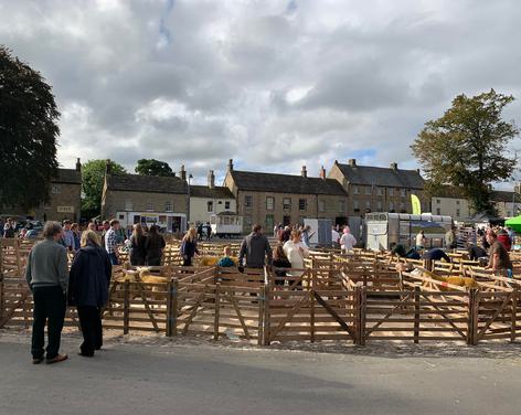 Masham Sheep Fair