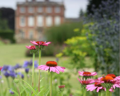 Harrogate Autumn Flower Show