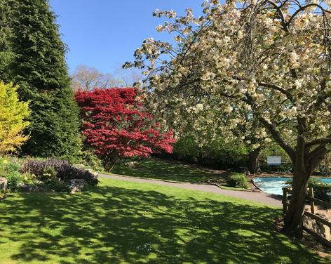 Bebra Gardens, Knaresborough