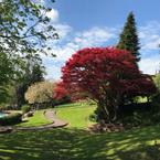 Bebra Gardens, Knaresborough