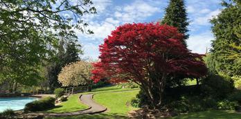 Bebra Gardens, Knaresborough