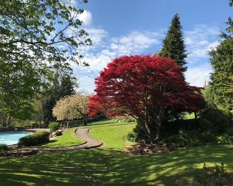 Bebra Gardens, Knaresborough