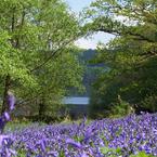 Fewston Reservoir -  Walking...