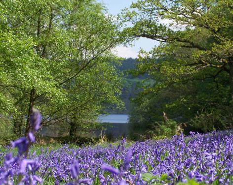 Fewston Reservoir -  Walking Routes