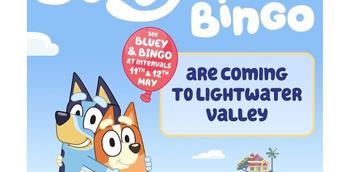 Meet Bluey & Bingo at Lightwater Valley!