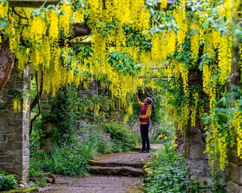 Newby Hall & Gardens