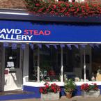 David Stead Gallery