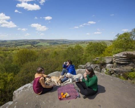 Brimham Rocks