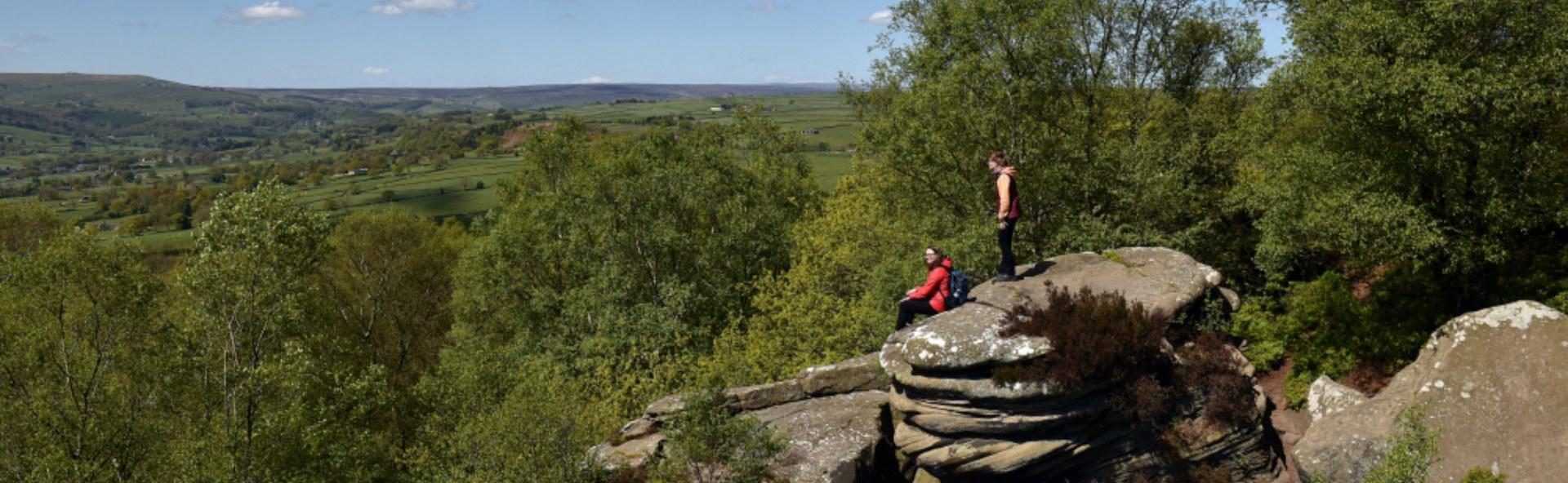 Extract Brimham Rocks HERO