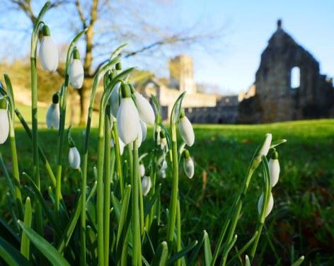 Fountains Abbey & Studley Royal Water Garden