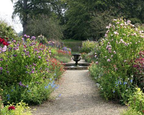 Harrogate Autumn Flower Show