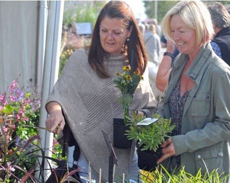 Harrogate Autumn Flower Show