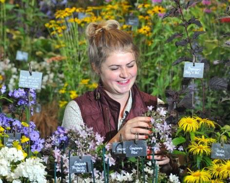 Harrogate Autumn Flower Show