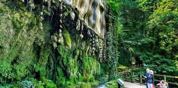 Mother Shipton's Cave and Petrifying Well