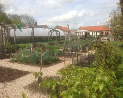 Ripon Walled Garden