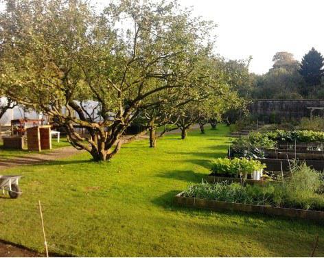 Ripon Walled Garden