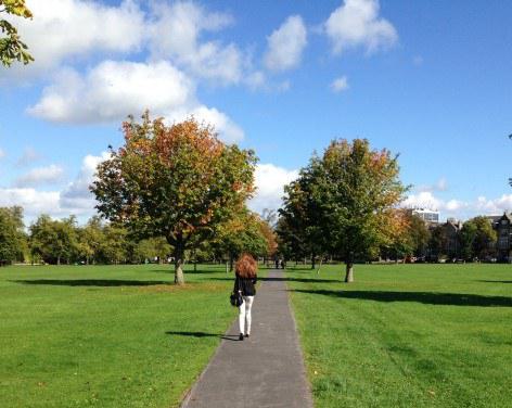 The Stray, Harrogate