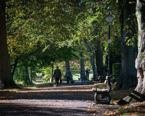 Valley Gardens, Harrogate