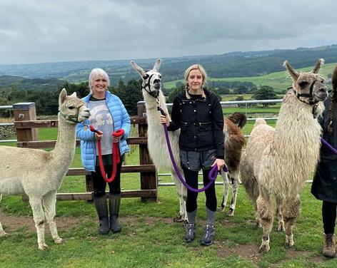 Nidderdale Llamas