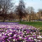 The Stray, Harrogate