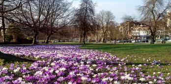 The Stray, Harrogate