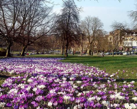 The Stray, Harrogate