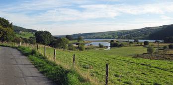 Gouthwaite Reservoir Nature Reserve