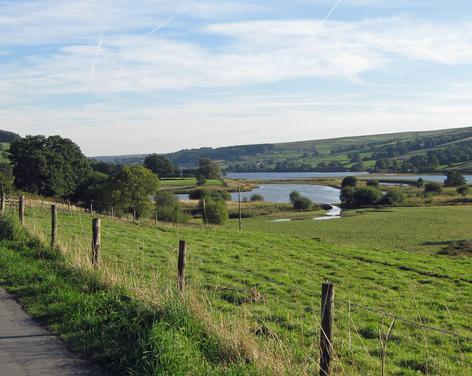 Gouthwaite Reservoir Nature Reserve