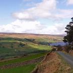 Scot Gate Ash walking route