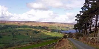 Scot Gate Ash walking route