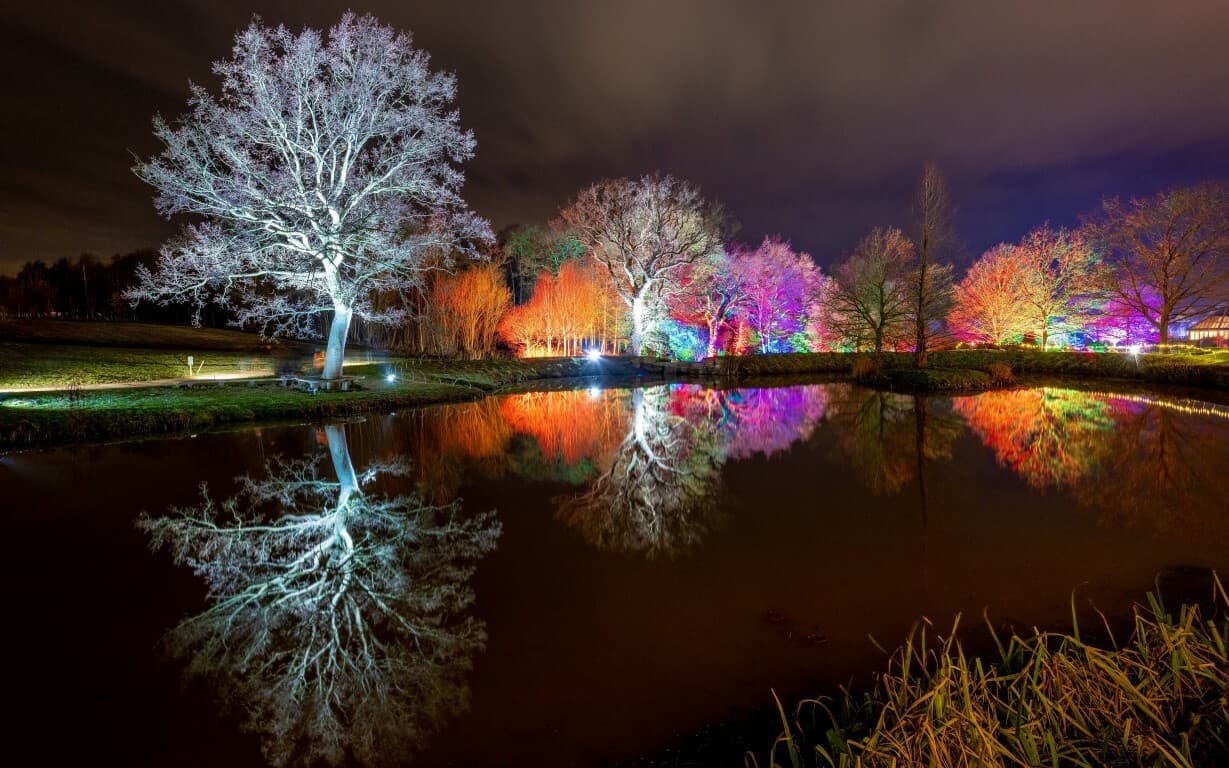 Harlow Carr s Queen Mother s Lake all aglow 1002700047