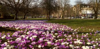 See How Our Gardens Grow - Spring