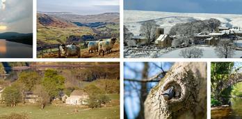 An Outstanding love of Nidderdale AONB