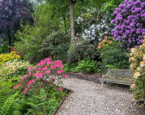 The Himalayan Garden & Sculpture Park