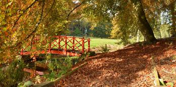 Autumn colours in the Harrogate district