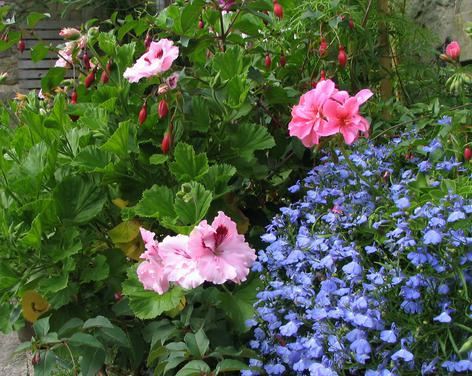 Victorian Gardens of Pateley Bridge