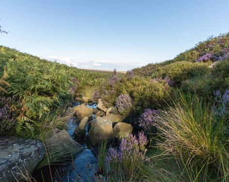 Nought Moor Trail