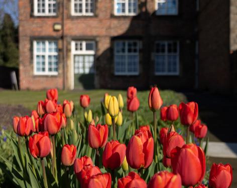 Ripon Workhouse & Garden Museum