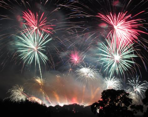 Stray Bonfire and Firework Display